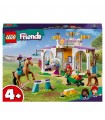 Friends - Addestramento Equestre