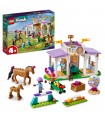 Friends - Addestramento Equestre