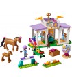 Friends - Addestramento Equestre