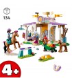 Friends - Addestramento Equestre
