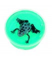 Crystal slime extraordinary frogs astuccio 3 pz