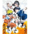 Puzzle da 1000 Pezzi - Naruto vs. Sasuke