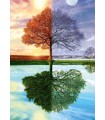 Puzzle da 500 Pezzi - L'Albero delle Quattro Stagioni