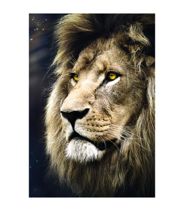 Puzzle da 1500 Pezzi - Lions Portrait