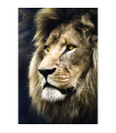 Puzzle da 1500 Pezzi - Lions Portrait