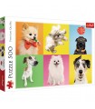 Puzzle da 500 Pezzi - Dogs