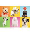 Puzzle da 500 Pezzi - Dogs