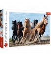 Puzzle da 1000 Pezzi - Galloping Horses