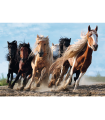 Puzzle da 1000 Pezzi - Galloping Horses