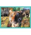 4 Puzzle in 1 - The Mysterious World of Animals