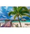 Puzzle da 1000 Pezzi UFT - Wanderlust: Paradise Beach, Bora - Bora