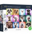 Puzzle da 1000 Pezzi UFT - Funny Dogs Faces