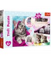 Puzzle da 160 Pezzi - Gattini Adorabili