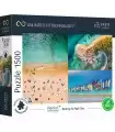 Puzzle da 1500 Pezzi UFT - Aerial Mindblow: Waiting for High Tide