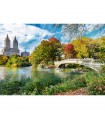 Puzzle da 1500 Pezzi UFT - Wanderlust: Charming Central Park, New York