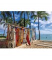 Puzzle da 1000 Pezzi - Waikiki Beach, Hawaii