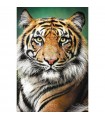 Puzzle da 1500 Pezzi - Portrait of a Tiger