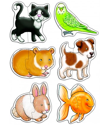 Pets