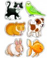 Pets