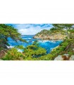 Puzzle da 4000 Pezzi Costa Californiana