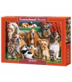 Puzzle da 3000 Pezzi - Club dei Cani