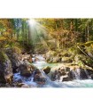 Puzzle da 2000 Pezzi Il Ruscello della Foresta