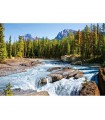 Puzzle da 1500 Pezzi Fiume Athabasca Parco Nazionale Jasper Canada