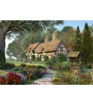 Puzzle da 1500 Pezzi Luogo Magico