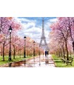 Puzzle da 1000 Pezzi - Passeggiata Romantica a Parigi