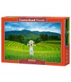 Puzzle da 1000 Pezzi - Campi di Riso in Vietnam