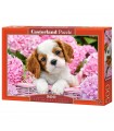 Puzzle da 500 Pezzi - Cucciolo tra Fiori Rosa