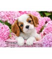 Puzzle da 500 Pezzi - Cucciolo tra Fiori Rosa