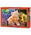 Puzzle da 500 Pezzi Gattino Rosso