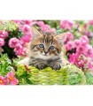 Puzzle da 500 Pezzi - Gattino nel Giardino Fiorito
