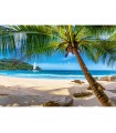 Puzzle da 500 Pezzi Vacanze alle Seychelles