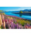 Puzzle da 500 Pezzi - Lago Tekapo, Nuova Zelanda