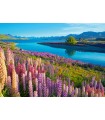 Puzzle da 500 Pezzi - Lago Tekapo, Nuova Zelanda