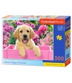 Puzzle da 300 Pezzi Cucciolo di Labrador in Scatola Rosa
