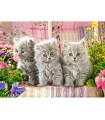 Puzzle da 300 Pezzi - Tre Gattini Grigi
