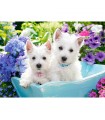 Puzzle da 200 Pezzi - Cuccioli di Westie