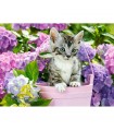 Puzzle da 200 Pezzi - Gattino nel Cestino