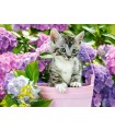 Puzzle da 200 Pezzi - Gattino nel Cestino