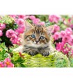 Puzzle da 100 Pezzi - Gattino nel Giardino Fiorito