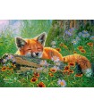Puzzle da 100 Pezzi - Sogni di Una Volpe