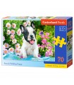 Puzzle da 70 Pezzi - Cucciolo di Bulldog Francese