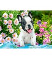 Puzzle da 70 Pezzi - Cucciolo di Bulldog Francese