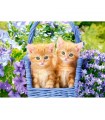 Puzzle da 70 Pezzi - Gattini Rossi