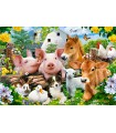 Puzzle da 40 Pezzi Maxi - Amici della Fattoria