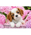 Puzzle da 180 Pezzi Cucciolo in Fiori Rosa