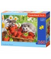 Puzzle da 260 Pezzi - Dolce alla Fragola